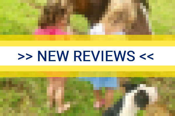 www.amoradadomuriqui.com.br - check out latest independent reviews