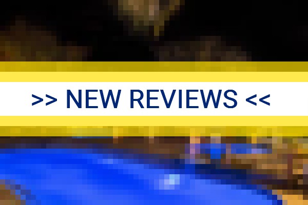 www.dolphinnoronha.com - check out latest independent reviews