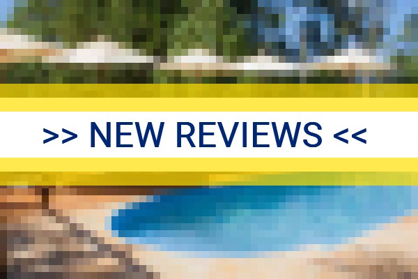 www.melhordemacacos.com.br - check out latest independent reviews