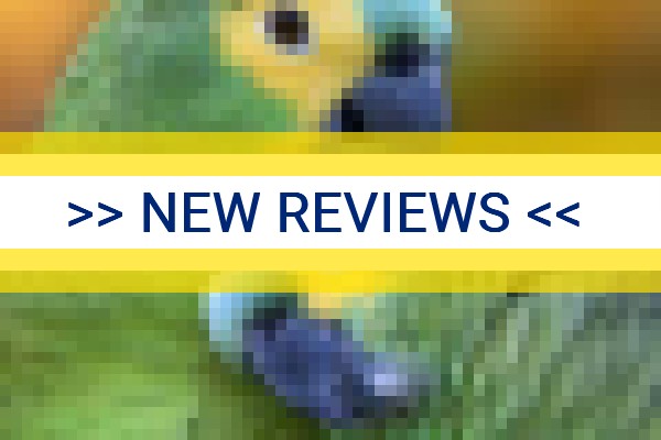 www.papagaio.com.br - check out latest independent reviews