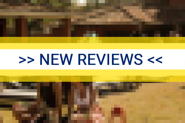www.thesearchhouse.com.br - check out latest independent reviews