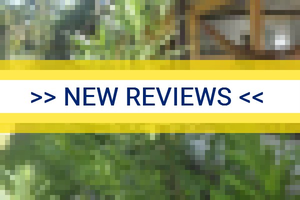 www.tulipasparaty.com - check out latest independent reviews